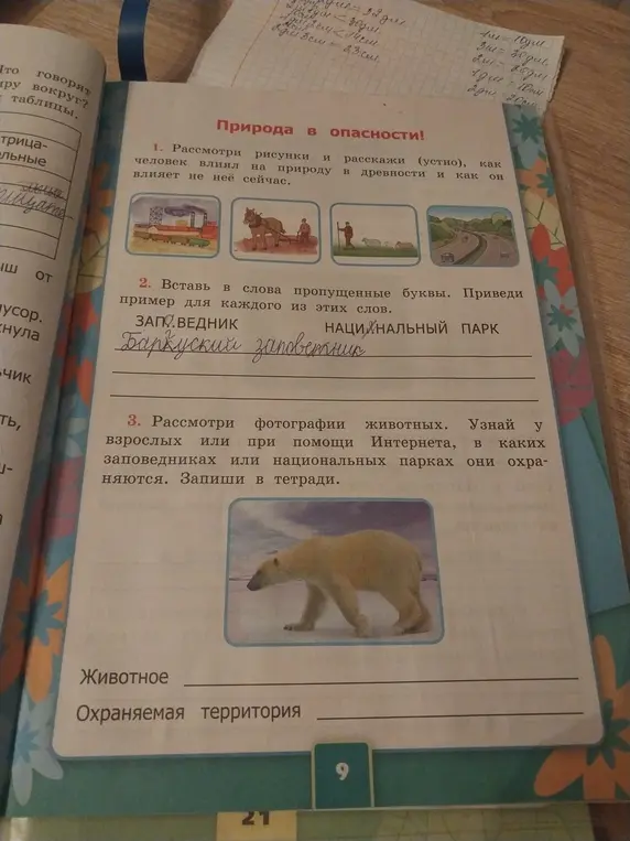 Ты просишь вставить пропущенные буквы в слова "ЗАП...ВЕДНИК" и "НАЦИ...НАЛЬНЫЙ ПАРК", а также узнать, в каких заповедниках охраняется белый медведь