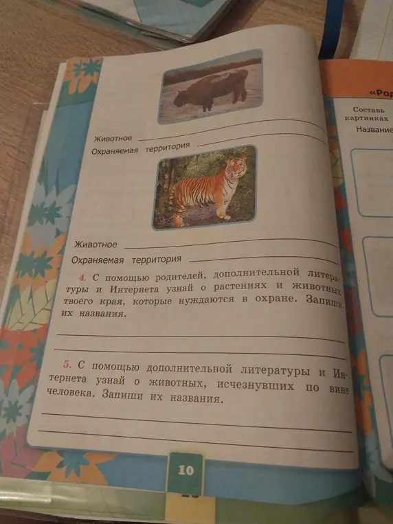 Ты просишь меня назвать животное и охраняемую территорию на картинке, а также рассказать, как выполнить задания 4 и 5 на странице учебника.