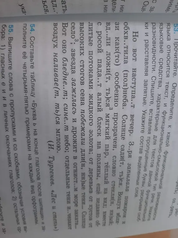 Напиши орфограммы из текста.