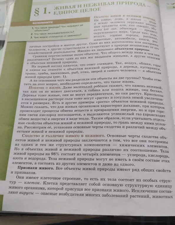 Что такое природа и её объекты, жизнедеятельность и чем живое отличается от неживого?
