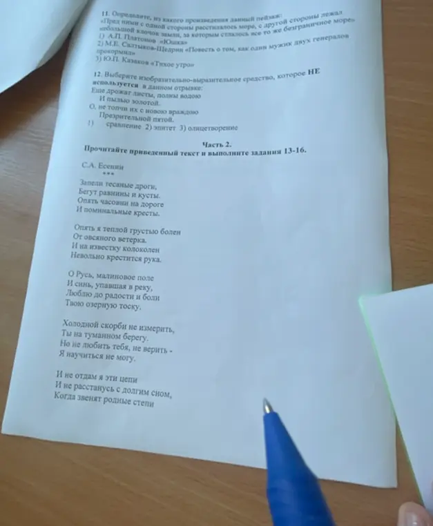 Определи, из какого произведения данный пейзаж: «Пред ними с одной стороны расстилалось море, с другой стороны лежал небольшой клочок земли, за которым стлалось все то же безграничное море»