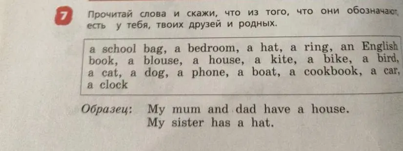 Составь предложения, используя слова из списка, чтобы рассказать, что есть у тебя, твоих друзей и родных