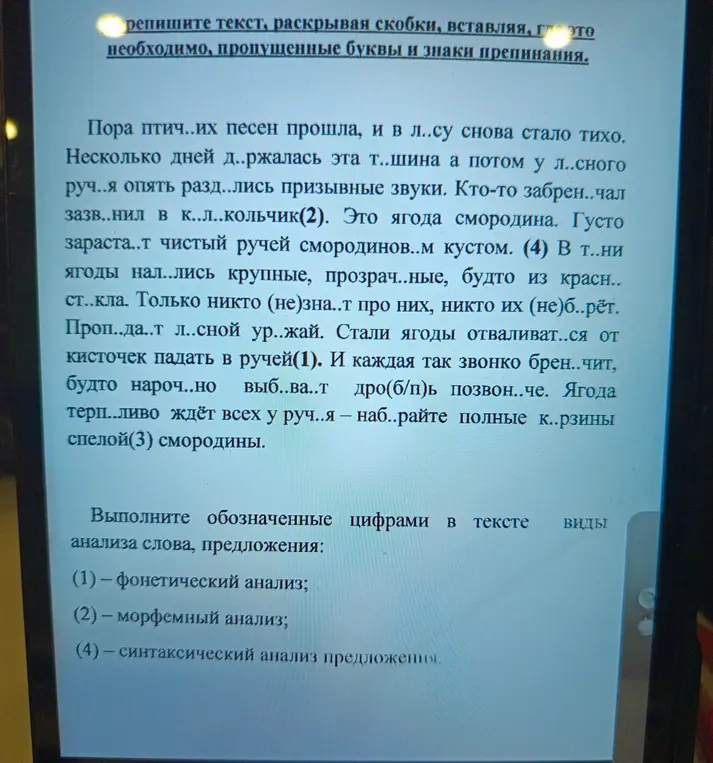 Выполни фонетический разбор слова 'ручей', морфемный разбор слова 'колокольчик' и 'спелой', а также синтаксический разбор предложения 'В тени ягоды налились крупные, прозрачные, будто из красного стекла.'