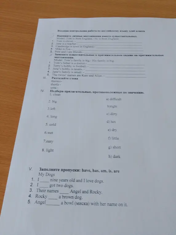 Ты можешь помочь мне написать личные местоимения вместо существительных в английском?