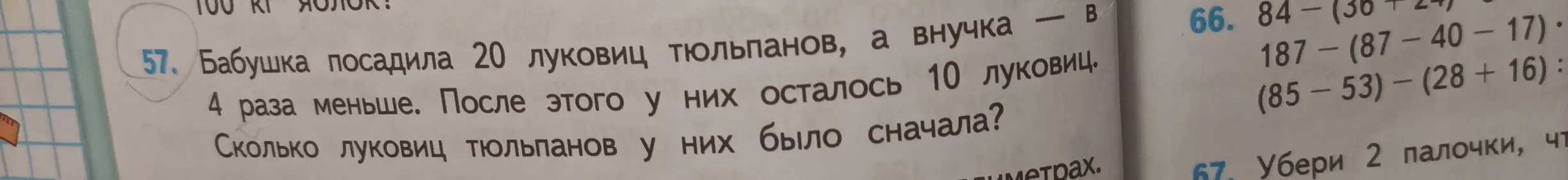 Помоги решить задачу: Бабушка посадила 20 луковиц тюльпанов, а внучка в 4 раза меньше. После этого у них осталось 10 луковиц. Сколько луковиц тюльпанов у них было сначала?