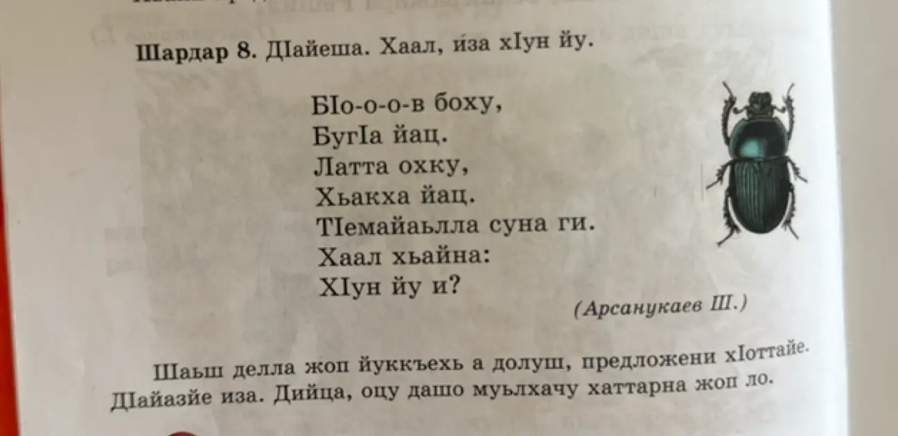 Ты просишь отгадать загадку на чеченском языке и составить предложение, чтобы ответ был в середине.
