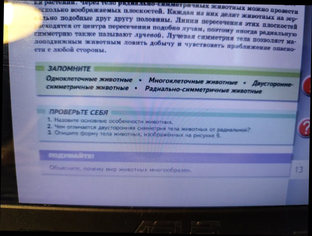 Назови основные особенности животных.