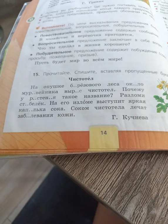 Ты просишь меня вставить пропущенные буквы в тексте про чистотел