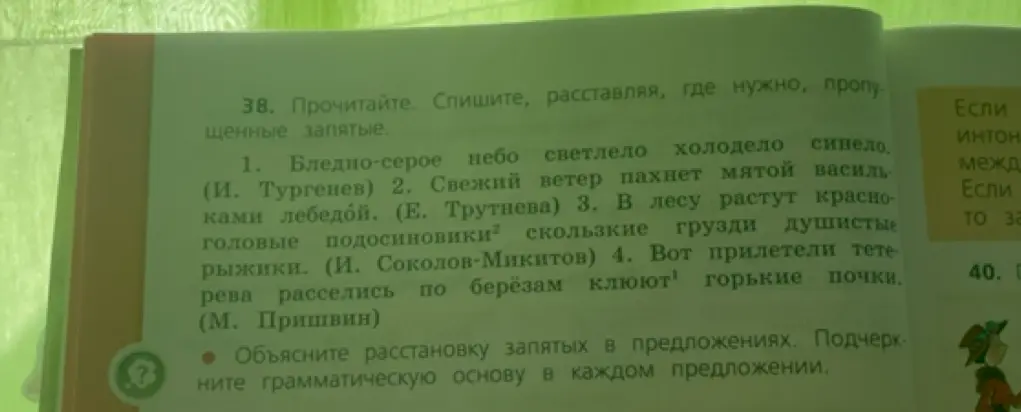 Объясни расстановку запятых и подчеркни грамматическую основу в первом предложении: Бледно-серое небо светлело холодело синело
