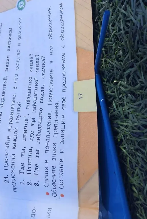 Объясни, как подчеркнуть обращения и объяснить знаки препинания в предложениях.
