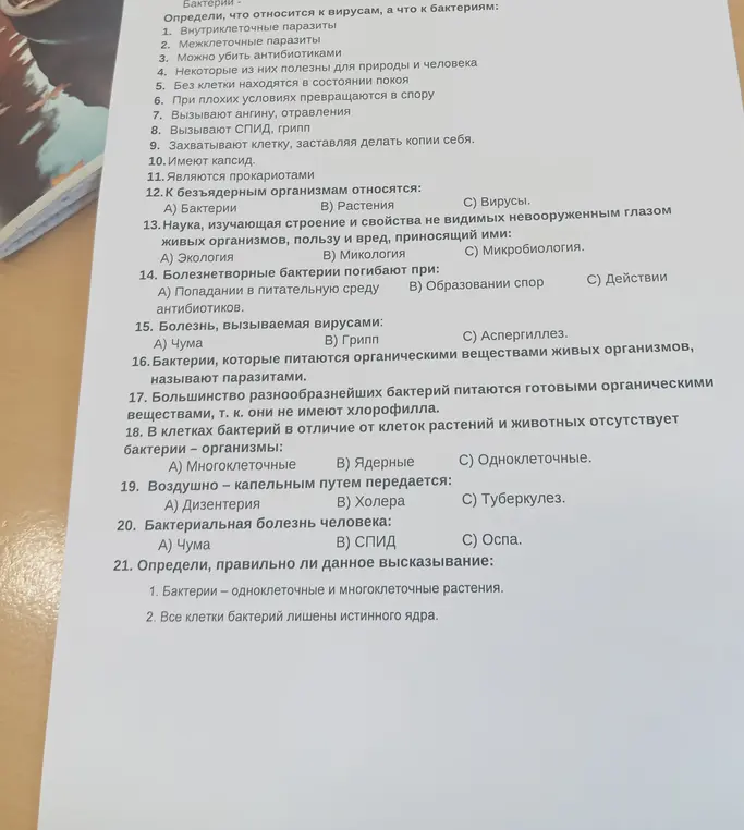 Определи, что относится к вирусам, а что к бактериям: внутриклеточные паразиты.