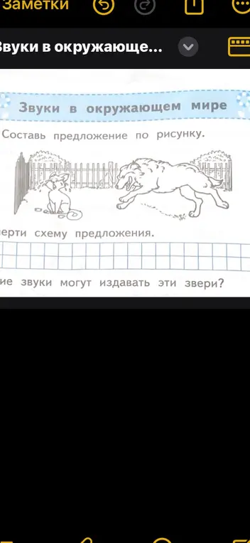 Составь предложение по рисунку, на котором изображены кошка и собака.