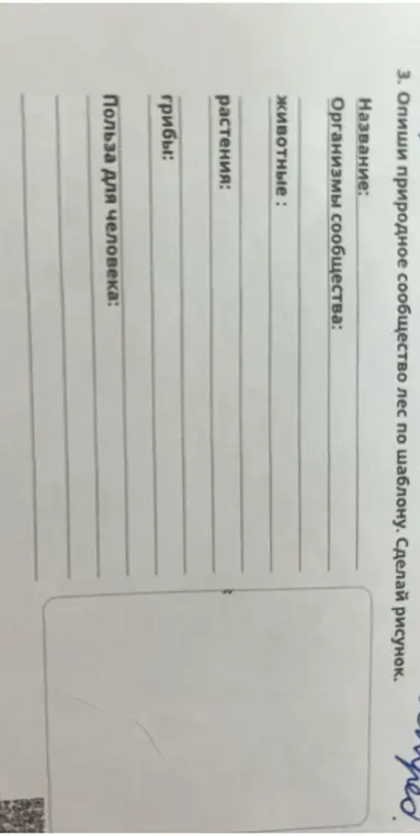 Опиши природное сообщество лес по шаблону