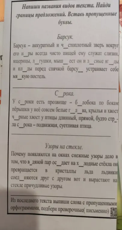 Помоги вставить пропущенные буквы и подобрать проверочные слова