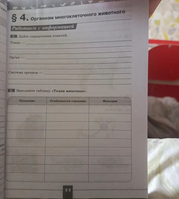 Дай определения понятиям: ткань, орган, система органов. Заполни таблицу «Ткани животных».