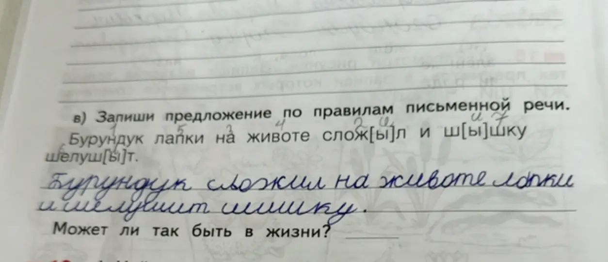 Запиши предложение по правилам письменной речи: Бурундук лапки на животе сложил и шишку шелушит