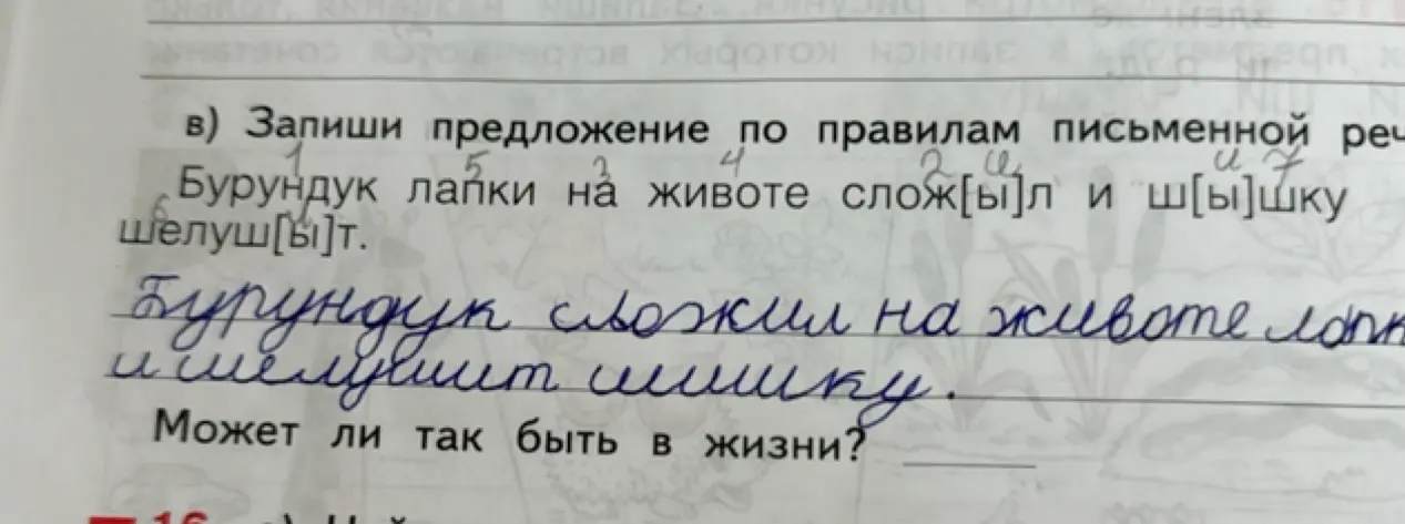 Запиши предложение по правилам письменной речи: Бурундук лапки на животе слож[ы]л и ш[ы]шку шелуш[ы]т.