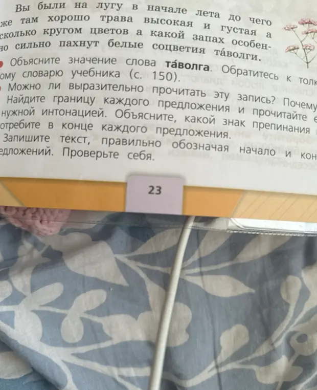 Объясни значение слова таволга.