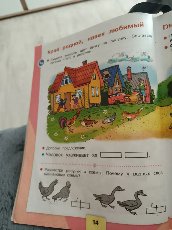 Ты просишь дополнить предложение 'Человек ухаживает за...', а также объяснить, почему у разных слов одинаковые схемы.