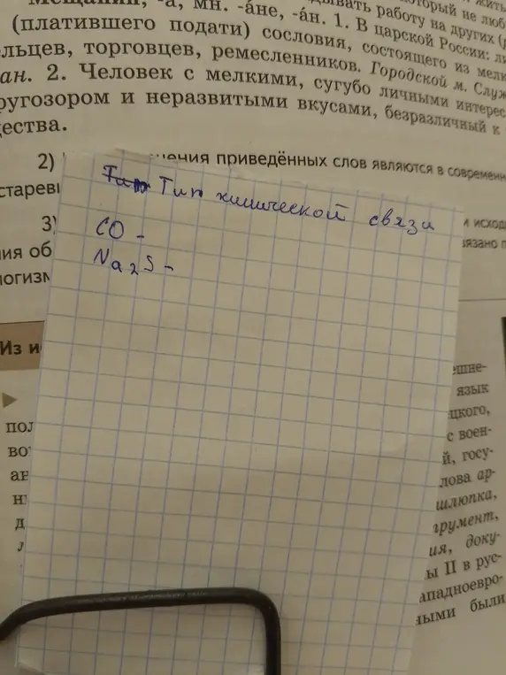 Ты просишь объяснить, что такое CO и Na2S.