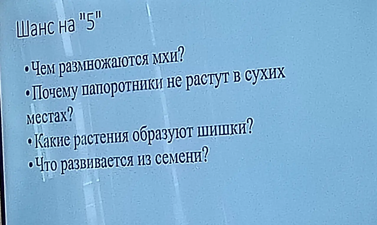 Ответь, чем размножаются мхи
