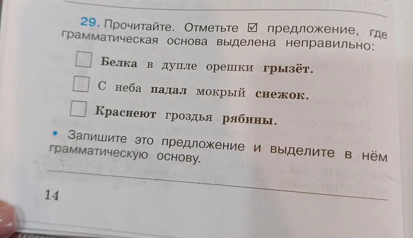 Выдели грамматическую основу в предложении 'Белка в дупле орешки грызёт.'