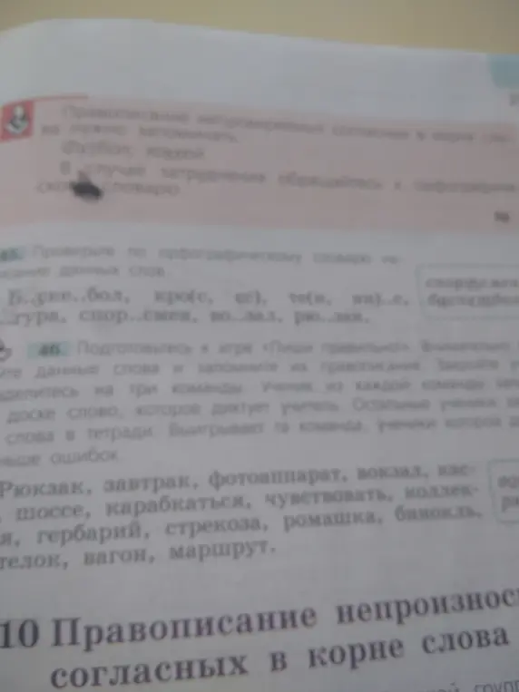 Проверь правописание по орфографическому словарю на написание данных слов.