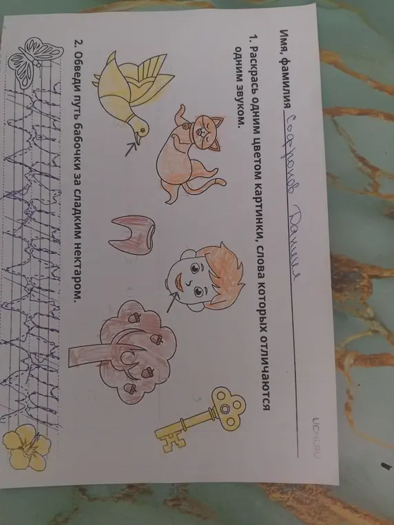 Ты просишь меня помочь с заданиями: раскрасить одним цветом картинки, слова которых отличаются одним звуком, и обвести путь бабочки за сладким нектаром.