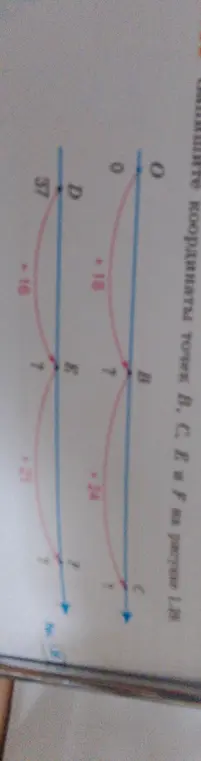 Определи координаты точек B, C, E и F на рисунке