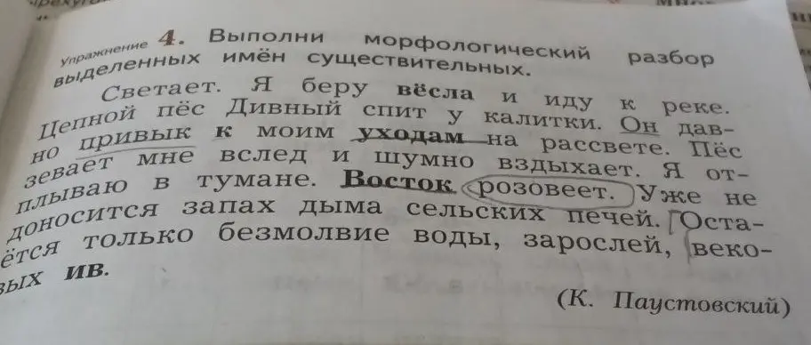 Выполни морфологический разбор выделенных имён существительных в тексте