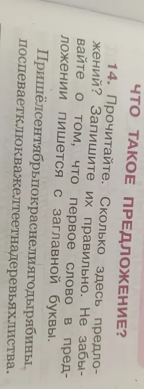 Ты просишь прочитать текст и определить, сколько в нём предложений, а затем записать их правильно