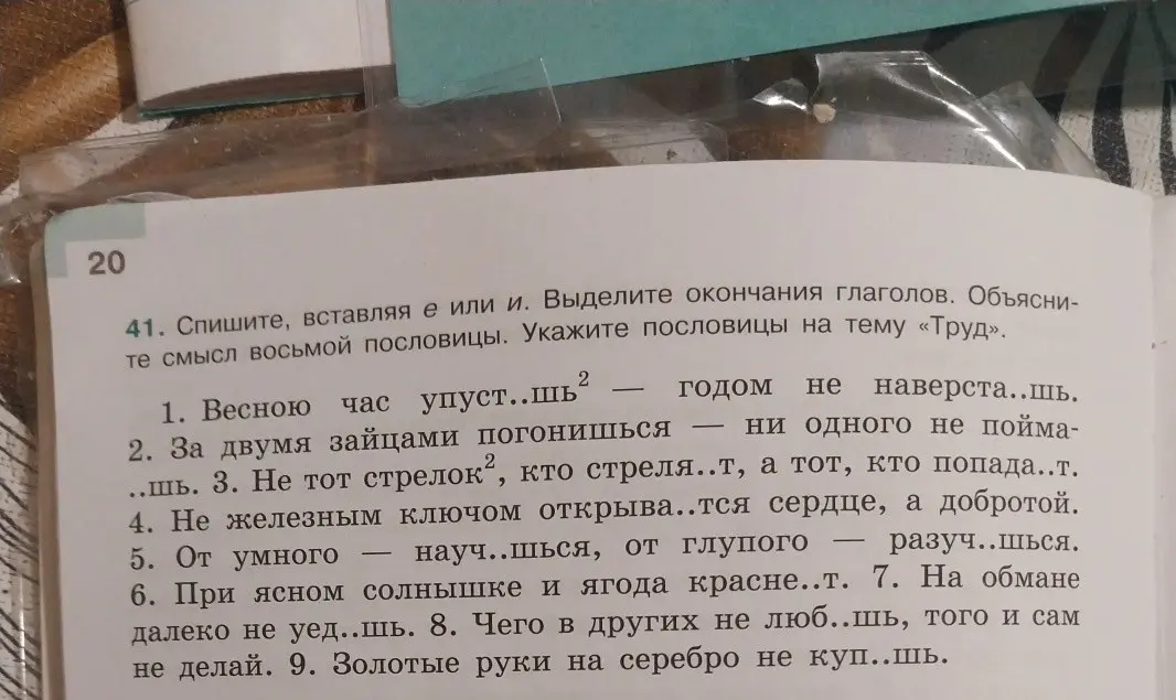 Ты просишь списать пословицы, вставляя е или и, выделить окончания глаголов и указать пословицы на тему «Труд».
