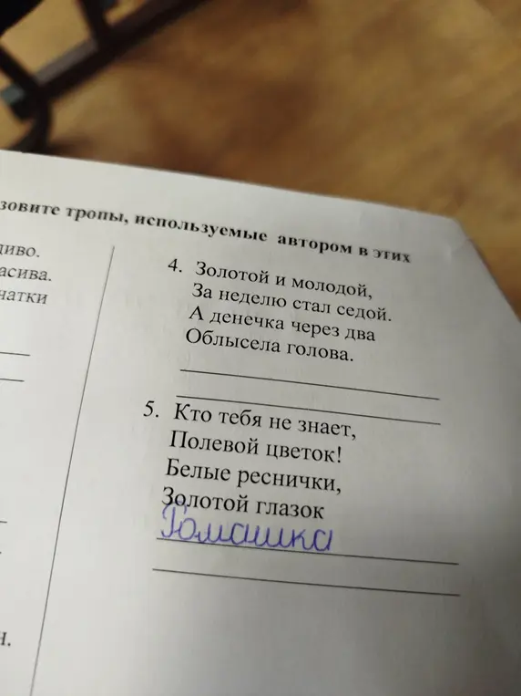 Назови тропы, используемые автором в стихотворениях 4 и 5