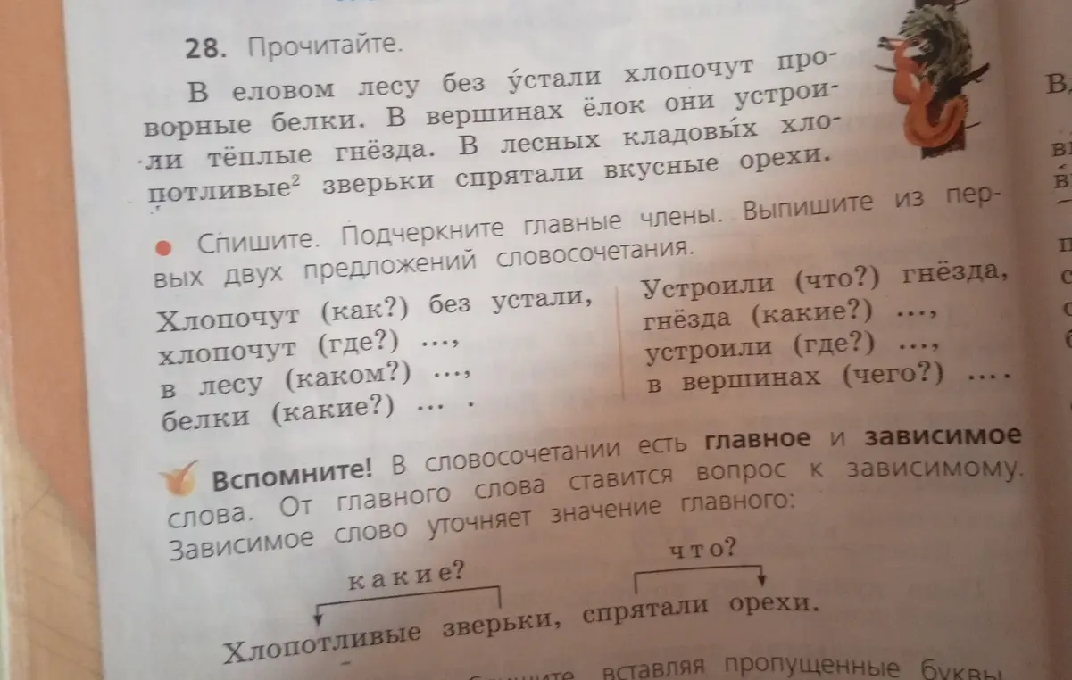 Выполни упражнение. Спиши текст, подчеркни главные члены в первых двух предложениях и выпиши словосочетания