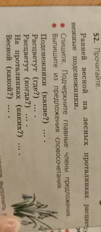 Прочитай текст, спиши, подчеркни главные члены предложения и выпиши словосочетания