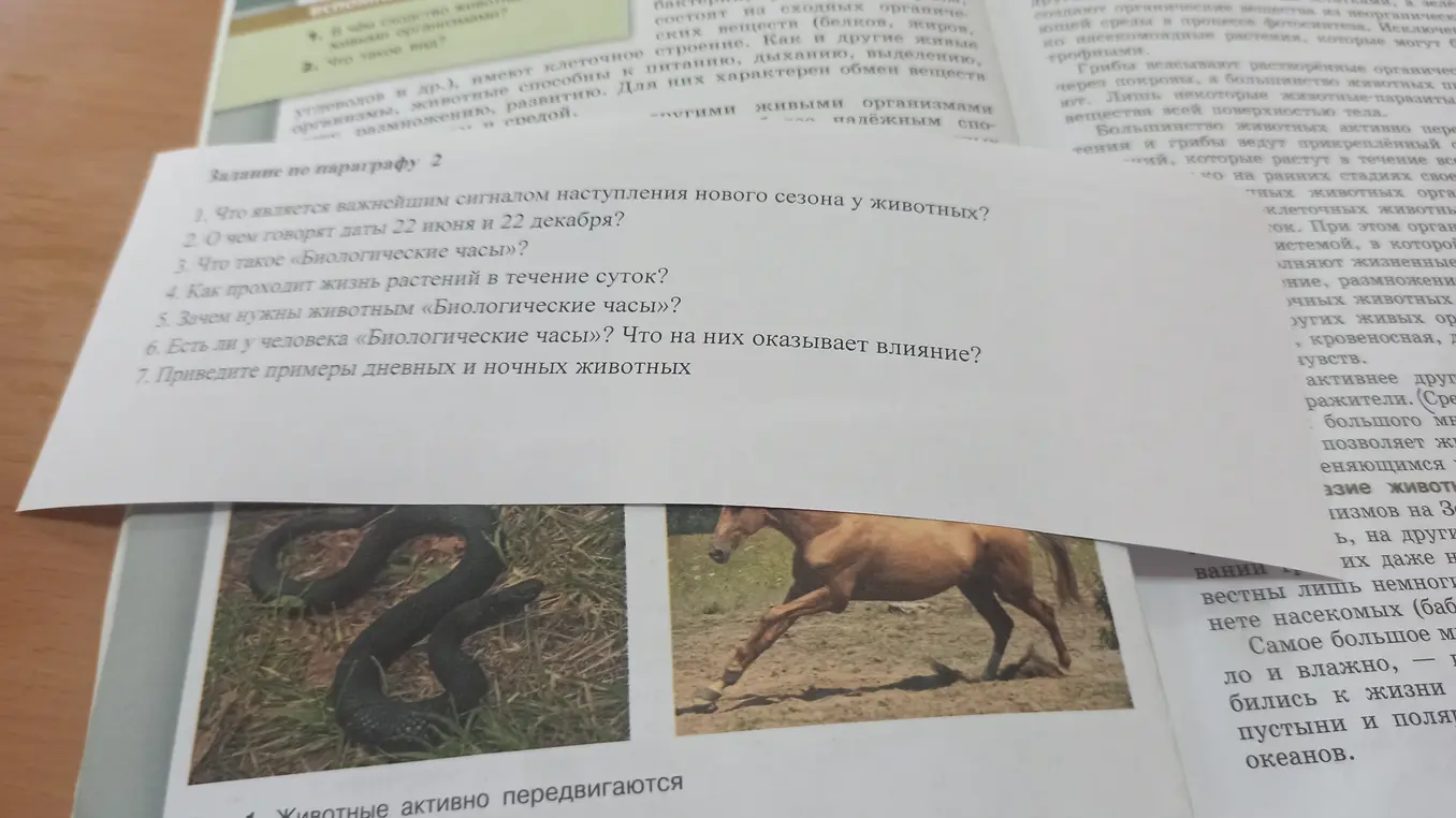 Что является важнейшим сигналом наступления нового сезона у животных?