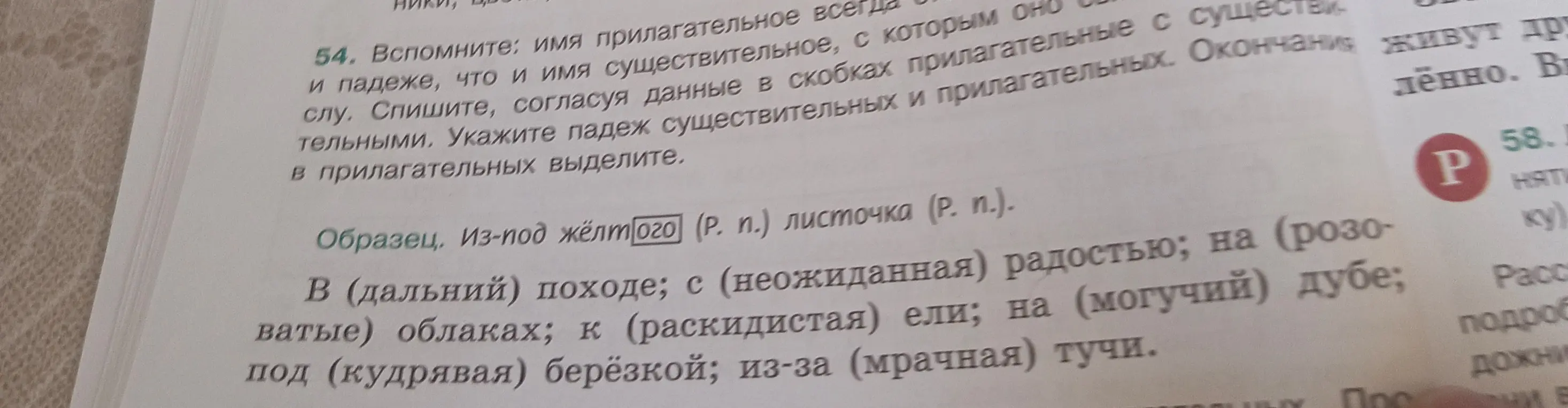 Ты просишь согласовать слова в скобках с остальными словами в предложении
