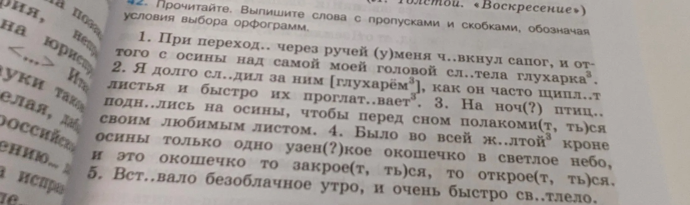 Выпиши слова с пропусками и скобками, обозначая условия выбора орфограмм в тексте