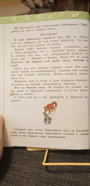 Определи тему и главную мысль текста «Кот-ворюга» Константина Паустовского, составь план текста, перескажи текст по составленному плану, выделенные предложения спиши и подчеркни в них главные члены предложения.