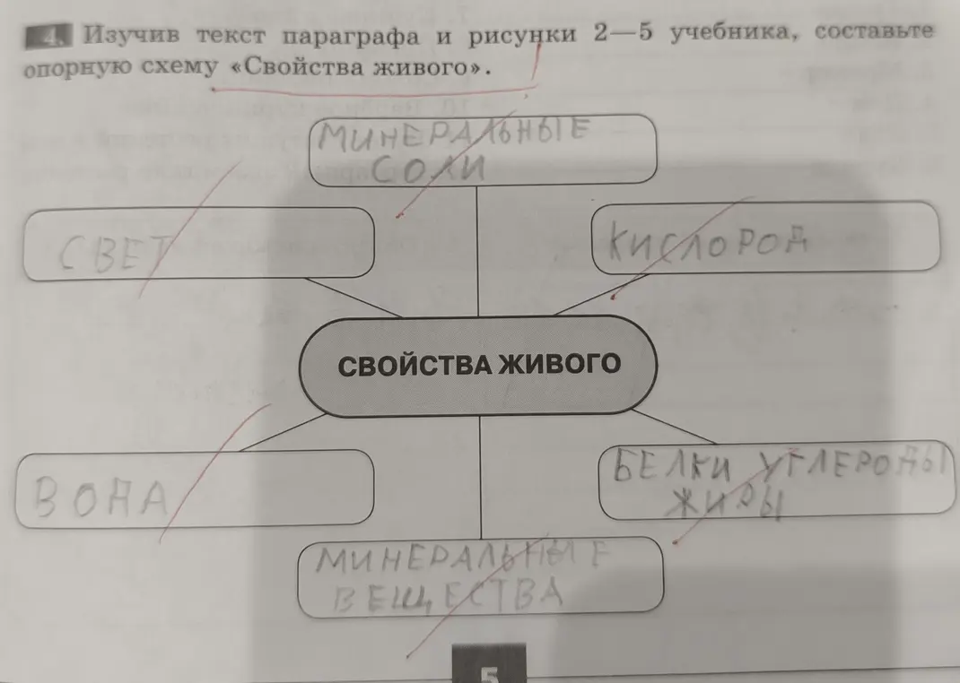 Составь опорную схему «Свойства живого»
