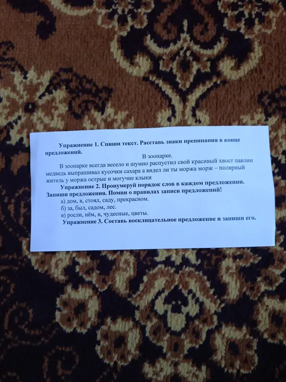 Выполни упражнение 1: спиши текст и расставь знаки препинания в конце предложений.