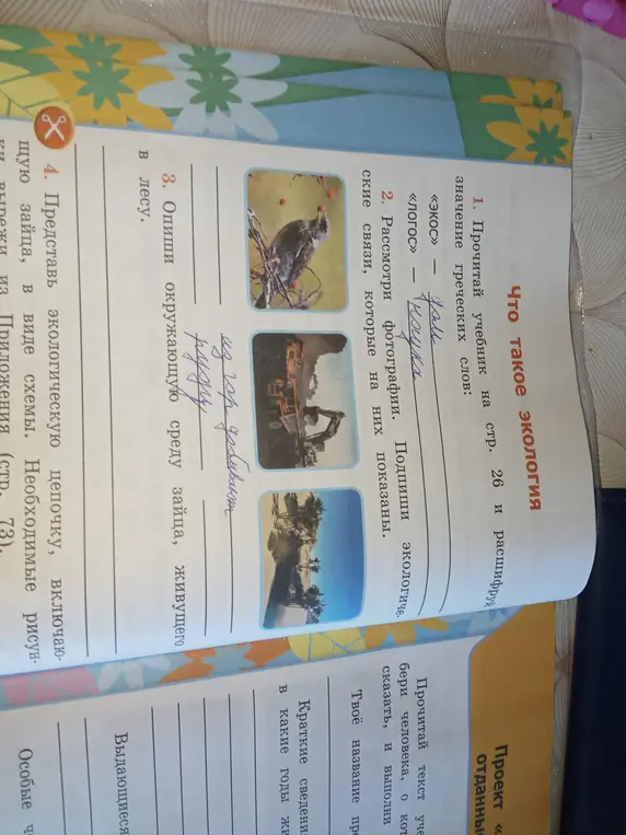 Опиши окружающую среду зайца, живущего в лесу.