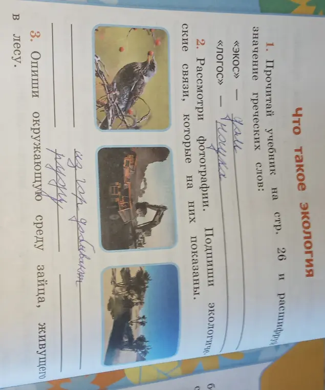 Опиши окружающую среду зайца, живущего в лесу.