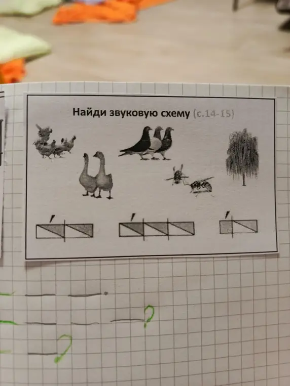 Предложи мне найти звуковую схему слов курица, голубь, оса и ива.