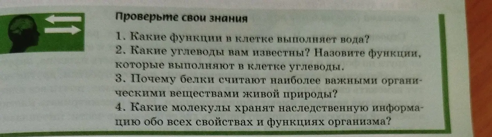 Какие функции в клетке выполняет вода?