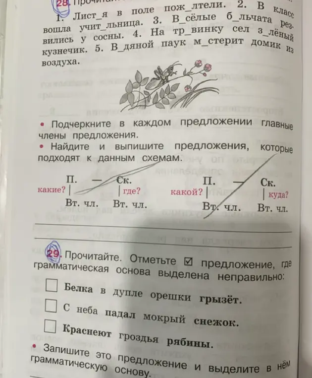 Подчеркни главные члены в каждом предложении и выпиши предложения, которые подходят к данным схемам, а также отметь предложение, где грамматическая основа выделена неправильно и запиши это предложение, выдели в нём грамматическую основу