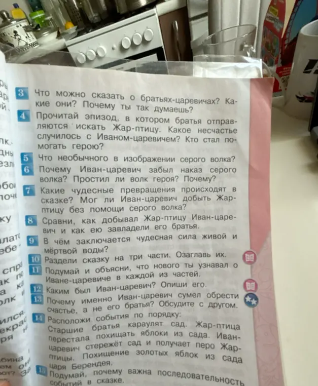 Можешь ли ты ответить на вопросы по сказке, например: Что можно сказать о братьях-царевичах?
