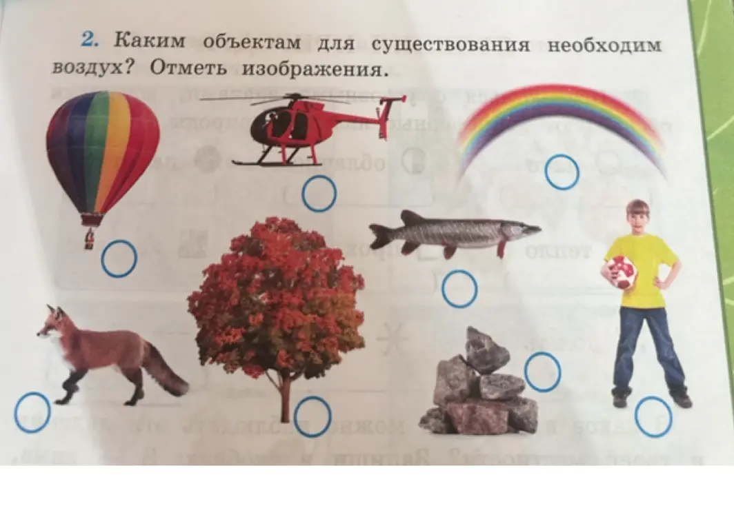 Отметь изображения, каким объектам для существования необходим воздух