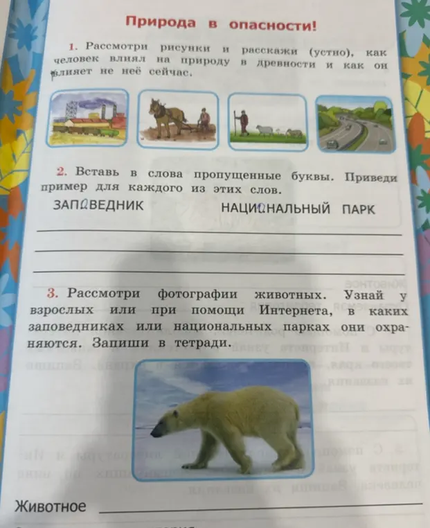 Помоги мне вставить пропущенные буквы в словах 'ЗАПОВЕДНИК' и 'НАЦИОНАЛЬНЫЙ ПАРК', а также расскажи, в каких заповедниках или национальных парках охраняются белые медведи