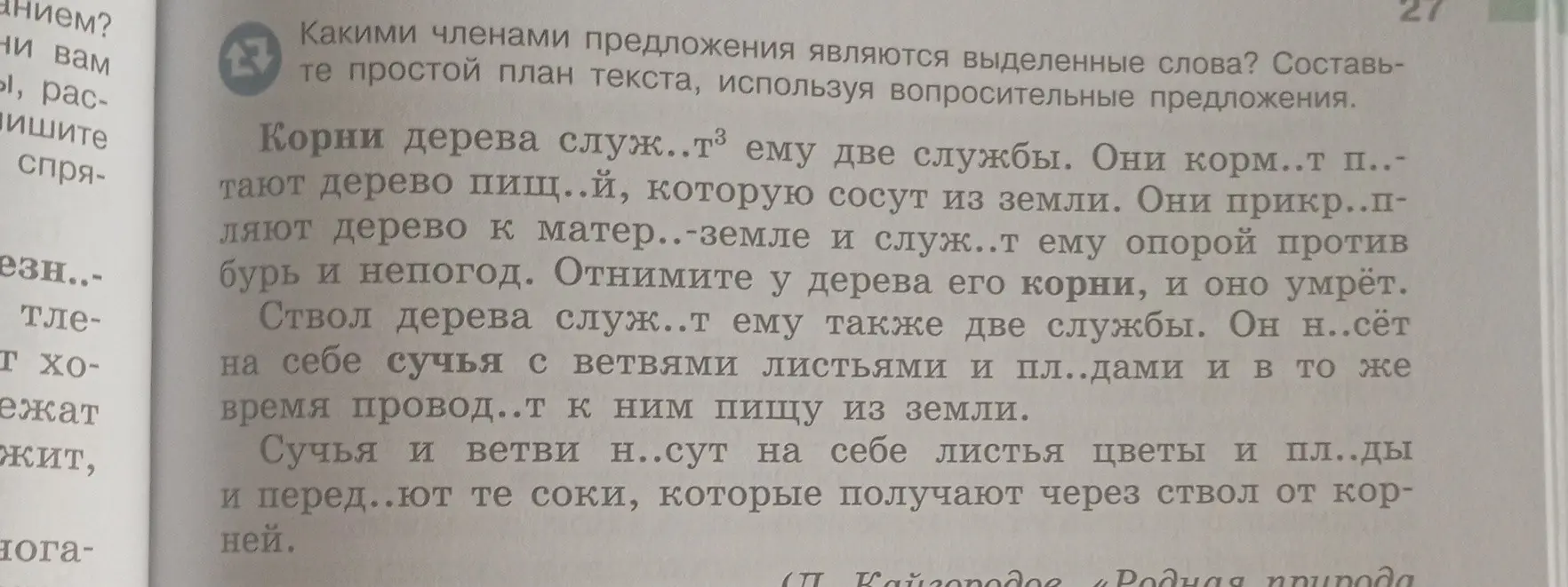 Определи, какими членами предложения являются выделенные слова в тексте о корнях дерева и составь простой план текста, используя вопросительные предложения